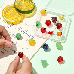 16Pcs 16 Styles Handmade Lampwork Beads&nbsp;LAMP-CJ0002-78