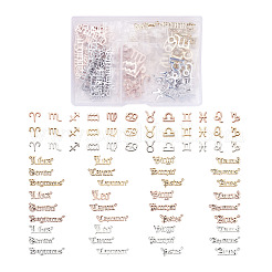 72pcs 6 Sets 6 Style Alloy Pendants&nbsp;FIND-CD0001-10