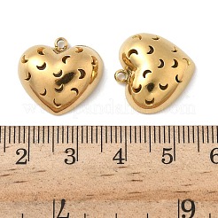 304 Stainless Steel Pendants&nbsp;STAS-D127-03G