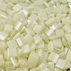 MIYUKI TILA Beads&nbsp;SEED-J020-TL0513