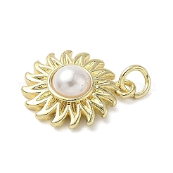 Brass Pendants&nbsp;KK-L248-14G