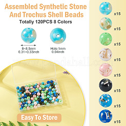 120Pcs 8 Colors Assembled Synthetic Stone and Trochus Shell Beads&nbsp;G-TA0002-31B