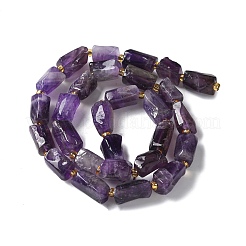 Natural Amethyst Beads Strands&nbsp;G-N327-06-41
