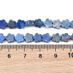 Natural Lapis Lazuli Beads Strands&nbsp;G-B138-C22-01