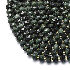 Natural Kambaba Jasper Beads Strands&nbsp;G-P573-A61-01