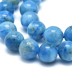 Natural Apatite Beads Strands&nbsp;G-F674-04-6mm