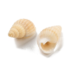Natural Spiral Shell Beads&nbsp;BSHE-G038-06C