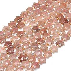 Natural Strawberry Quartz Beads Strands&nbsp;G-P573-C04-01
