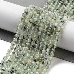Natural Prehnite Beads Strands&nbsp;G-G140-A19-03