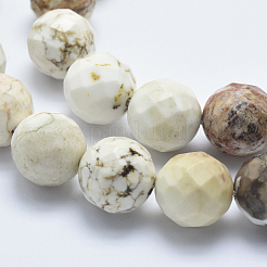 Natural Magnesite Beads Strands&nbsp;G-K226-8mm-01