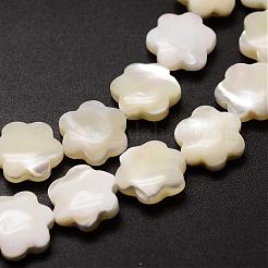 Natural Trochid Shell/Trochus Shell Beads Strands&nbsp;SSHEL-K010-03