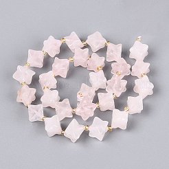 Natural Rose Quartz Beads Strands&nbsp;G-Q608-07A-02