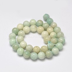 Grade B Natural Amazonite Round Bead Strands&nbsp;G-M296-05-6mm