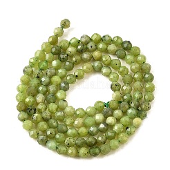 Natural Canadian Jade Beads Strands&nbsp;G-G259-D02-3mm