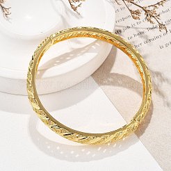 Brass Hinged Bangles for Women&nbsp;BJEW-D313-01G