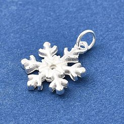 925 Sterling Silver Pendants&nbsp;STER-Q003-01F-S
