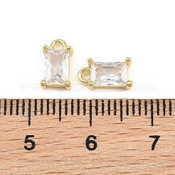 Brass Pave Clear Cubic Zirconia Charms&nbsp;CU-CBAD306-03G