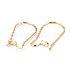 316 Surgical Stainless Steel Hoop Earring Findings&nbsp;STAS-A056-12G-C