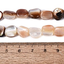 Natural Freshwater Shell Beads Strands&nbsp;SHEL-Q030-01