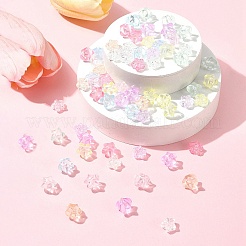 91G Transparent Acrylic Beads&nbsp;OACR-FS0001-89