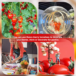 Mini Plastic Imitation Cherry Tomato&nbsp;DJEW-WH0042-57