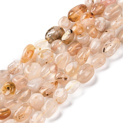 Natural Cherry Blossom Agate Beads Strands&nbsp;LS-G-G146-A31-01