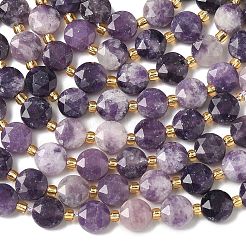Natural Lepidolite Beads Strands&nbsp;G-C116-A09-02