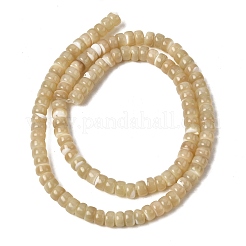 Natural Trochid Shell/Trochus Shell Beads Strands&nbsp;SSHEL-S266-019B-03