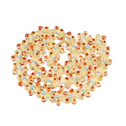 Handmade Lampwork Beads Strands&nbsp;LAMP-N038-05E