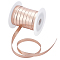20M Flat Imitation Leather Cord, for Sewing Accessories, Sienna, 10x0.7mm, about 21.87 Yards(20m)/Set