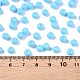 Opaque Baking Paint Glass Beads&nbsp;DGLA-T004-02Q-4