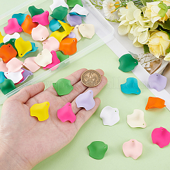 60Pcs 10 Styles Opaque Resin Pendants&nbsp;RESI-PH0002-59