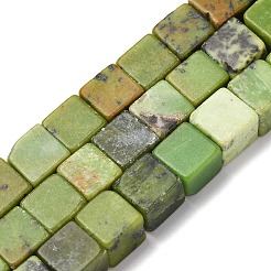 Natural Serpentine Beads Strands&nbsp;G-B155-C01-8x8mm