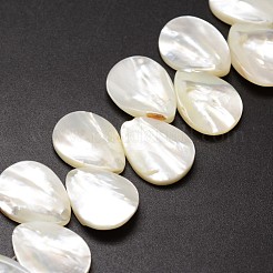Natural Trochid Shell/Trochus Shell Beads Strands&nbsp;SSHEL-K009-08