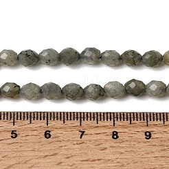 Natural Labradorite Beads Strands&nbsp;G-K376-F07-01