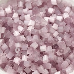 Glass Seed Beads&nbsp;SEED-H002-D-A818