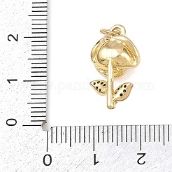 Brass Micro Pave Cubic Zirconia Pendants&nbsp;LS-KK-H525-05D-G