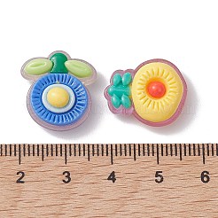 Translucent Resin Decoden Cabochons&nbsp;RESI-K034-02