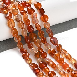 Natural Carnelian Beads Strands&nbsp;G-P497-01C-35