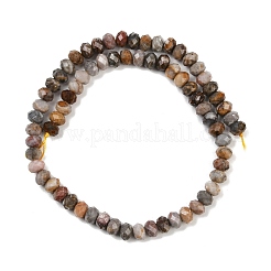 Natural Gobi Agate Beads Strands&nbsp;G-F668-25-B