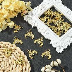 Tibetan Style Alloy Pendants&nbsp;TIBE-YW0001-02AG