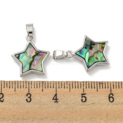 Natural Paua Shell Pendants&nbsp;KK-A214-14P
