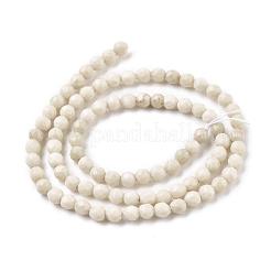 Natural Fossil Round Bead Strands&nbsp;G-O151-02-4mm