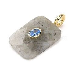 Natural Labradorite Faceted Pendants&nbsp;G-B186-01G-01