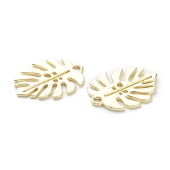 Baking Paint Alloy Pendants&nbsp;ENAM-I051-01A