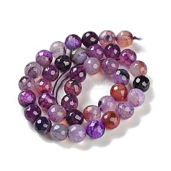 Natural Agate Beads Strands&nbsp;G-M437-C01-01O