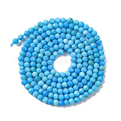 Natural Howlite Beads Strands&nbsp;G-C025-02A-05