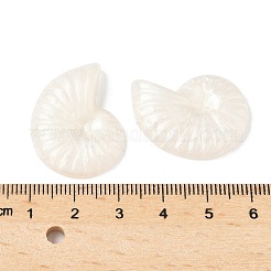 Transparent Resin Cabochons&nbsp;LS-CRES-D306-02