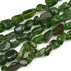 Natural Green Diopside Beads Strands&nbsp;G-G464-A01-01