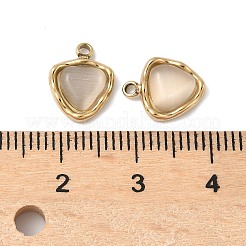 304 Stainless Steel Charms&nbsp;STAS-L022-515G